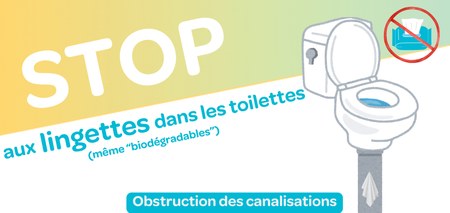 Illustration de l'actualité - cliquer pour agrandir