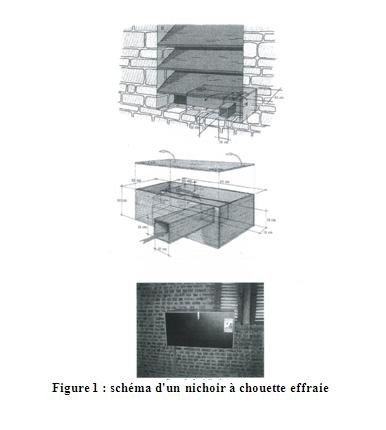 nichoir à chouette