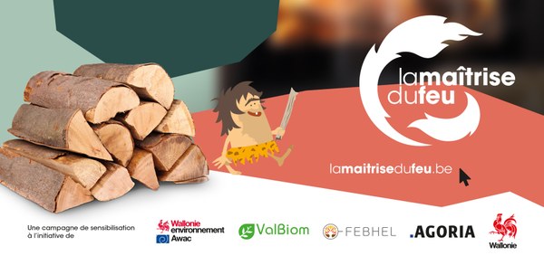Maitrisefeu Coupe